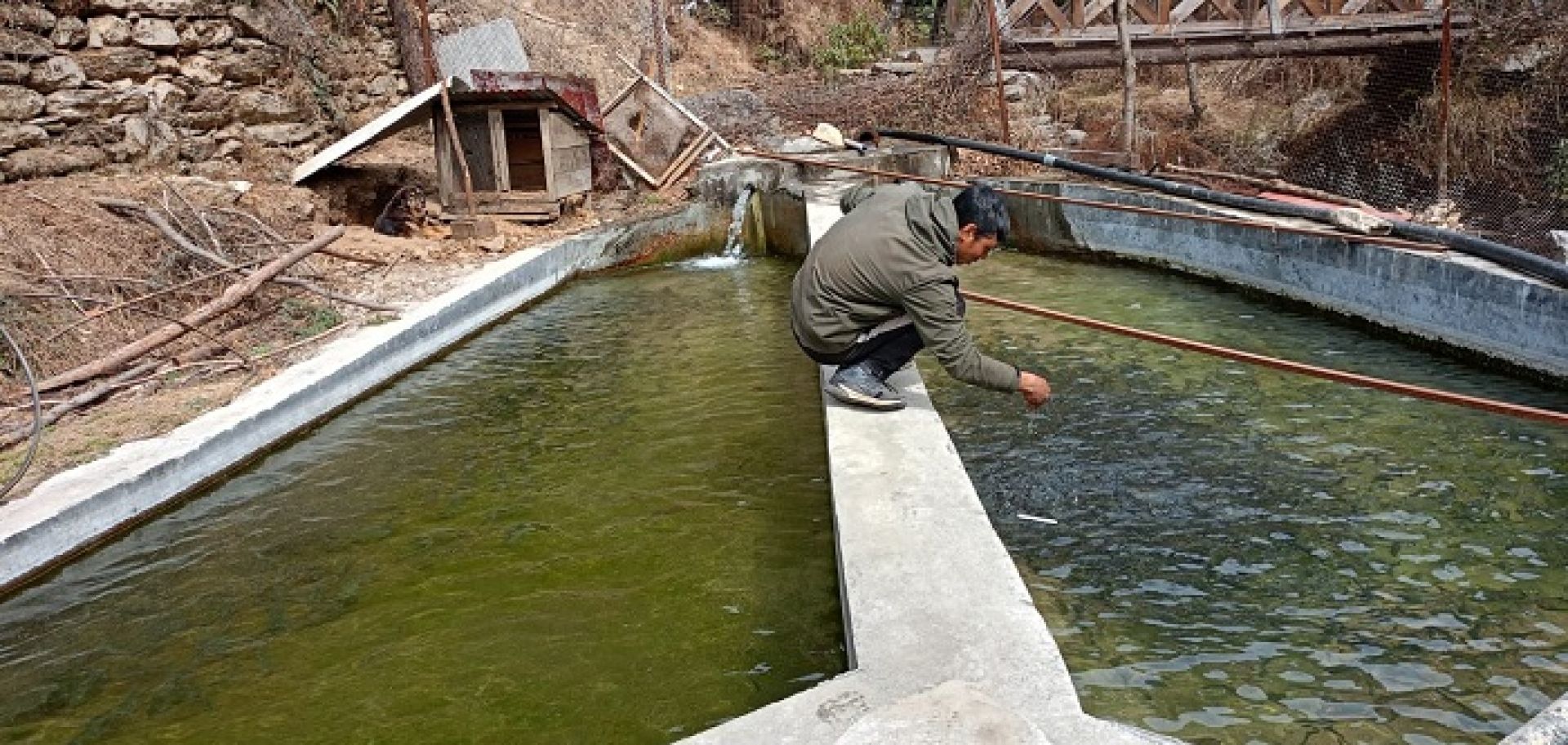 विदेशबाट फर्किएर माछापालनः मासिक डेढ लाख आम्दानी, छैन बजारको चिन्ता